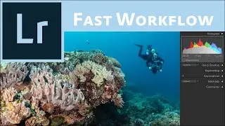 SPEED UP Your Lightroom Workflow
