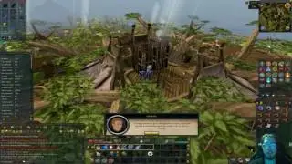 The Grand Tree Quest Guide