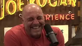 Joe Rogan and Hot Female vs. Male Teacher