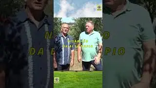 Čekala me majka na prozoru, zabrinuta do pred ranu zoru