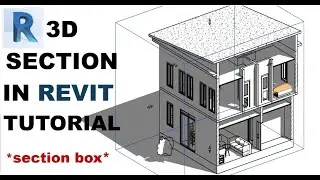 3D SECTION VIEW (SECTION BOX)