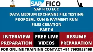 SAP FICO ECC, DATA MEDIUM EXCHNAGE FILE CREATION TESTING WTH PROPOSAL AND PAYMENT RUN FILES