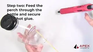 DIY Magnetic Bird Feeder