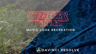 Stranger Things Upside Down|Color Grading|Stranger things