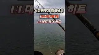 석문방조제 간조물때 광어히트~ #석문방조제 #광어낚시 #바다루어