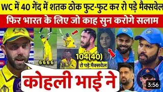 AUS vs NED HIGHLIGHTS: मैक्सवेल - वॉर्नर की आंधी के बाद जैम्पा की फिरकी में औंधे मुंह गिरी NED