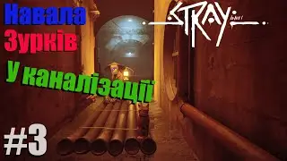 Навала Зурків у каналізації►Stray