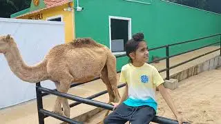 visit to Fundera park zoo I #kidsactivities #zoo
