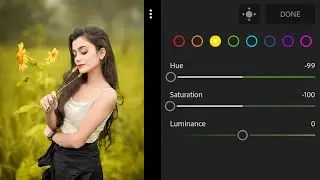 Lightroom Soft Yellow Tone Photo Editing | Lightroom Background Colour Change