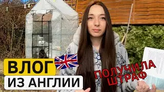 Влог из Англии: Меня оштрафовали! Waitrose и мои будни