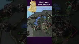 How much SCVs did die from friendly fire? #rts #starcraft2 #gaming