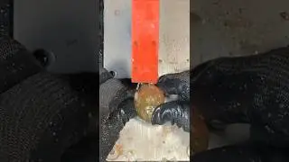 Awesome Agate Stone