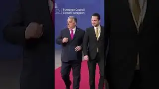 Hungary's Orban To Meet Ukraine's Zelenskyy