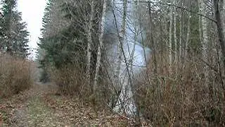 15g flash powder