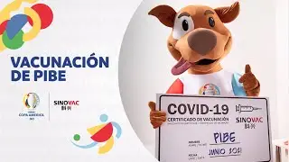 CONMEBOL Copa América & SINOVAC - Vacunación de Pibe