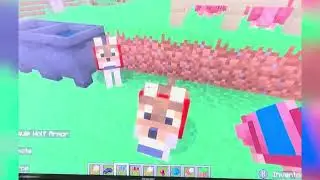 How to make armadillo wolf armor in Minecraft