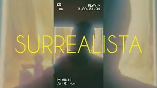 SURRE△LIST▲ - BORREMANS