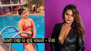 ମୋତେ ଦେଖି ରାଣୀ ପଣ୍ଡା ଜଳି ପୋଡି ମରି ଯାଉଛି - ନିଶା ମହାରଣା | Rani Panda VS. Nisha Maharana | Ollywood Hub