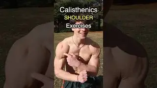 Best calisthenics shoulder exercises at home
