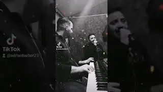 Baranyi Dávid & Horváth Adrián - A hattyú igazsága