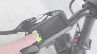 DAYLYRIDE Lion pro