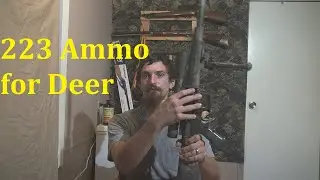 Is 223 enough for Deer?