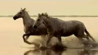 Canon EOS 7D TV Commercial Take Stories