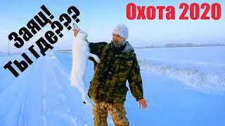 Hunt for a hare 2020 With the Siberian wanderer or how we were fooled by hares Hare hunting inwinter