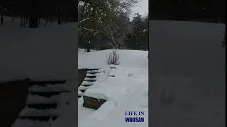 A Beautiful Snow in Wausau (Late February Tranquility) #shorts