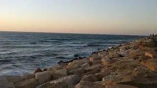 Eat Tel Aviv (Eurovillage) 2019