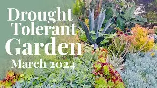 Drought Tolerant Garden Tour | March 2024