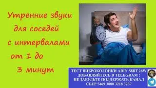 475. Ответ шумным соседям. Утренние звуки для соседей на 12 часов