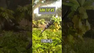 Ark Tips You Need To Know #9! Did You Know This?