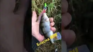 Блесна ручной работы ARPil 