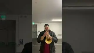 Trumpet with reverb