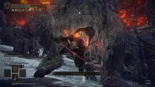 Elden Ring (PC) - Arcanist - ULTRA LATE GAME BUILD [NG+]
