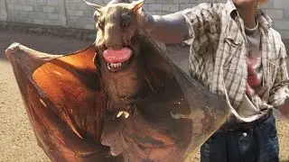 New Animals Discovered Very Recently