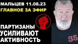 Мальцев 11.08.23 главное