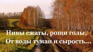🌾 Сергей Есенин. Нивы сжаты, рощи голы | Стихи о природе поэтов 20 века