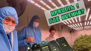 Врут ли продавцы фитоламп? Тайский гейт