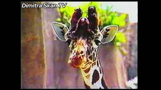 Greek VHS Opening from Hellas Kosmos Video (1988)