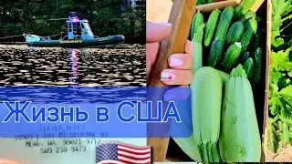 ВЛОГ: Еду к фермерам в США  / Коротко наш день 🥰