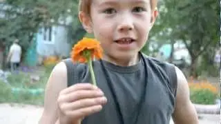 От сердца и почек дарю тебе  цветочек...