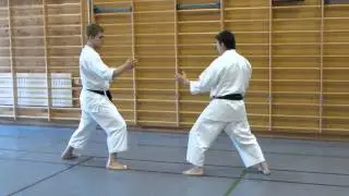 Påskesamling med sensei Poh Lim 6. dan og sensei Frank Bruun 5. dan