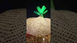 Decorated by only Dry Banana Plants at Falakata, Tarundal Kali Puja 2023
