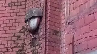 мэлз пожарная сигнализация