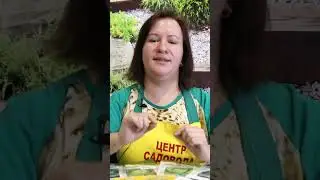ЛУЧШИЕ СЕМЕНА КАПУСТЫ 2024 ГОДА  #сад  #огород #семена #рассада