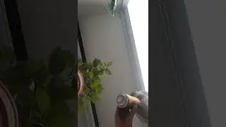 liquid death mango chainsaw 0/5 testi hd