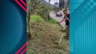 Cansada de esperar a prefeitura, população capina via pública