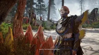 Все бойцовские арены horizon forbidden west